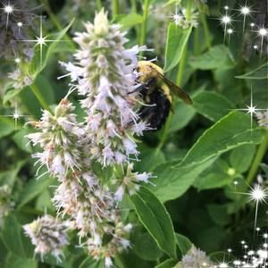 Meet your Posher, Christal